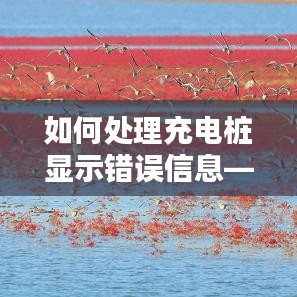 广西蓝创新能源汽车充电桩错误处理指南