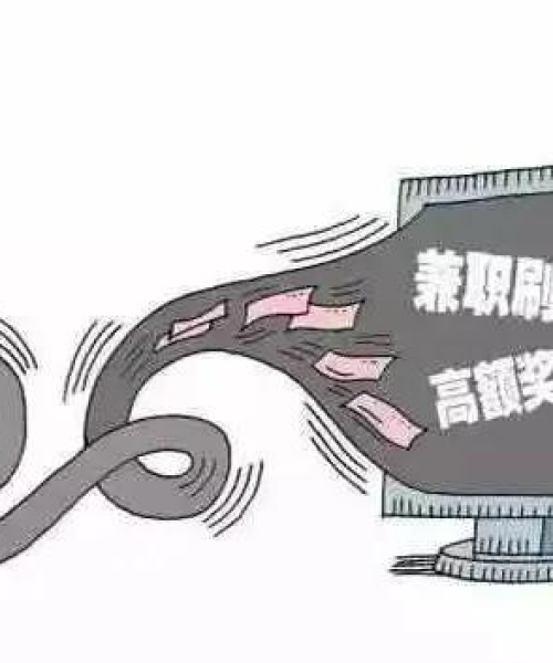 徐闻今日动态，多元发展与社会活动盛况概览