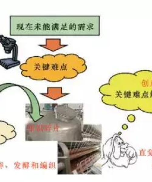 打造健康合法博客，坚守内容道德底线