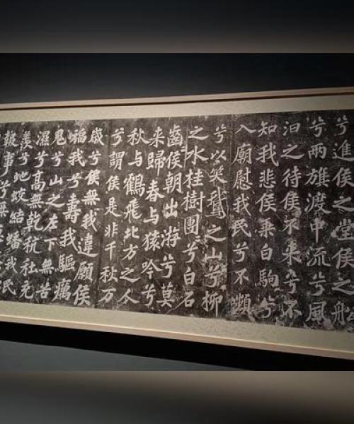 柳州24号新闻，正能量事迹引领城市发展新风尚