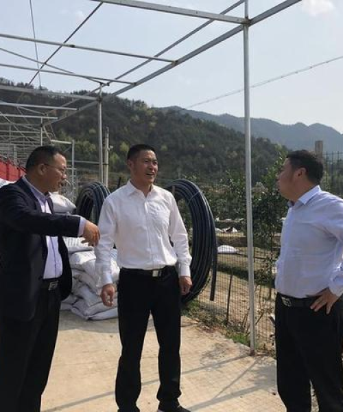 旱地复垦施肥新标准全面解读