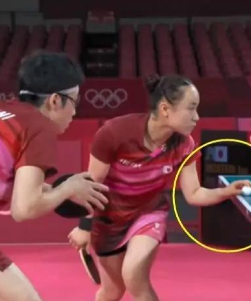 乒乓励志语录，小球桌演绎不凡人生篇章