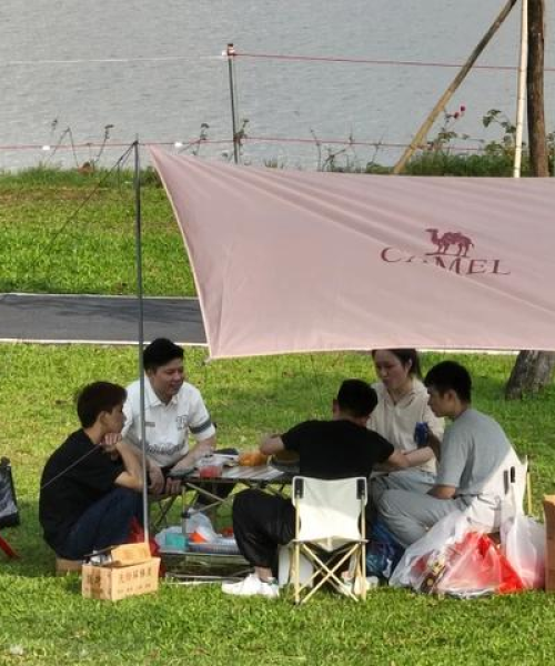 常见问题 第1149页