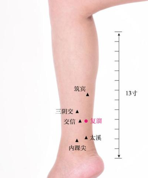 揭秘足底穴位，领略传统医学的智慧魅力