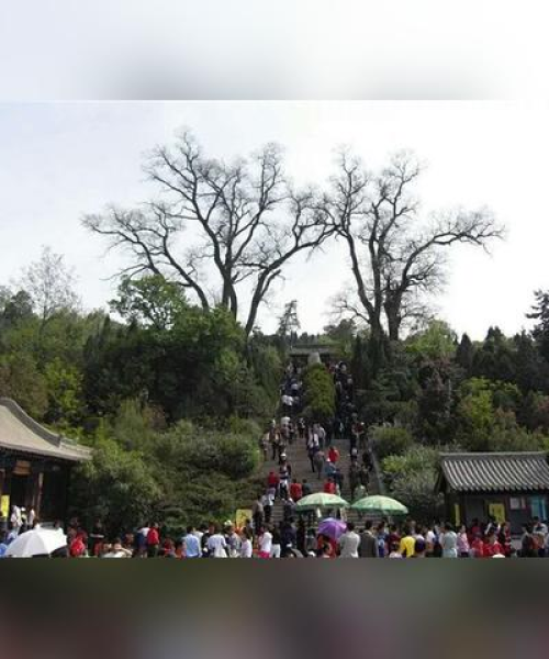 高铁畅游天水，必备旅游攻略指南