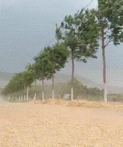 西安今日大风天气最新资讯