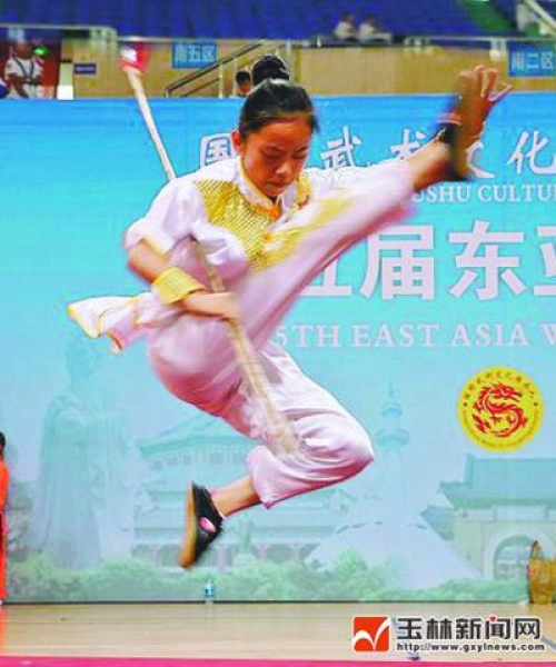 玉林充电桩配件故障解析与解决策略