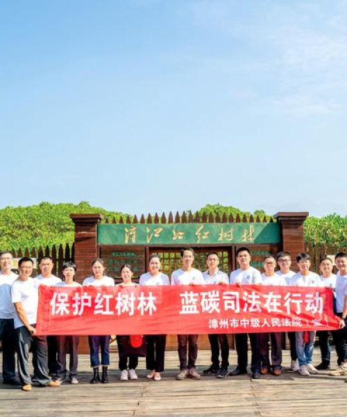 广西蓝创新能源汽车设备推出全新充电桩网络化管理解决方案