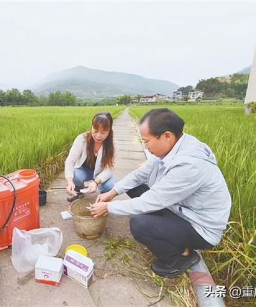 充电桩与可再生能源协同推动新能源汽车产业繁荣