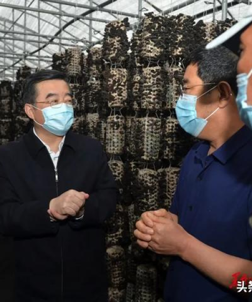 绥化市今日疫情最新动态
