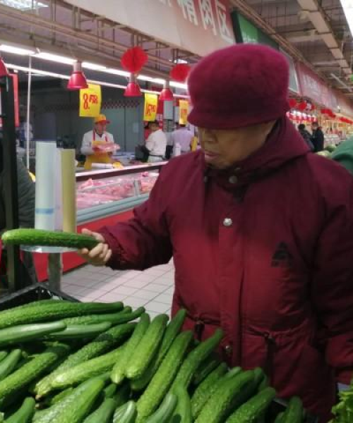 郑州今日包菜价格行情及波动分析