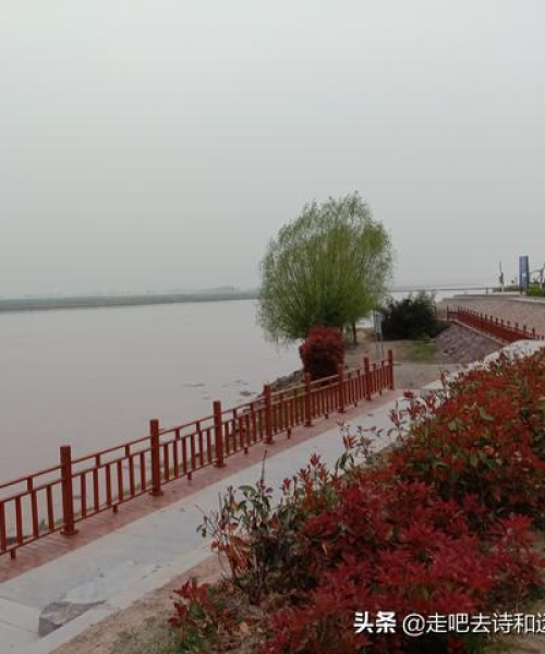 兰考黄河游，壮丽景色邂逅千年文化