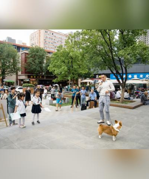 西安狗狗成长见证，专业训练曝光，最新训犬视频大全！