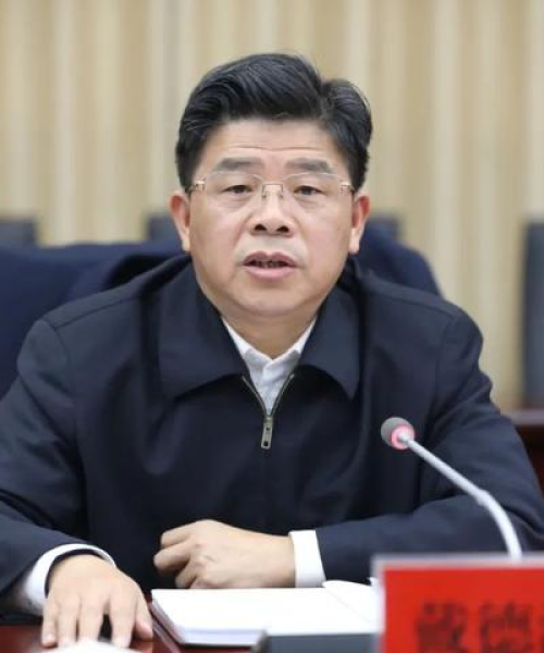 广西蓝创新能源汽车项目揭秘，潭市镇最新进展