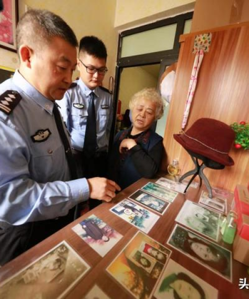 车检站新规动态，最新政策解读与消息速递