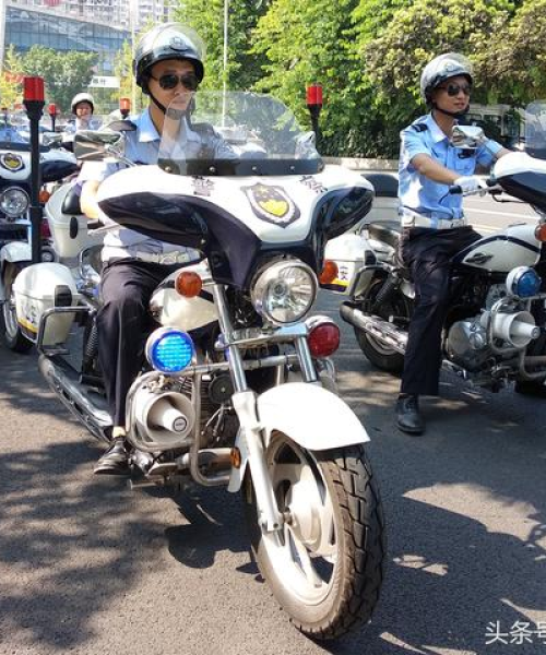 宜宾内账整理公司排名榜，权威榜单揭晓