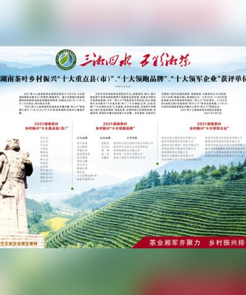 湖南十大顶尖公司榜单揭晓