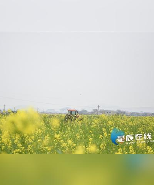 长沙旅游攻略大解密，星城魅力之旅必去景点排名！