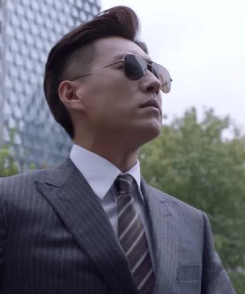 广西蓝创新能源汽车设备公司，国产墨镜大牌TOP10榜单揭秘