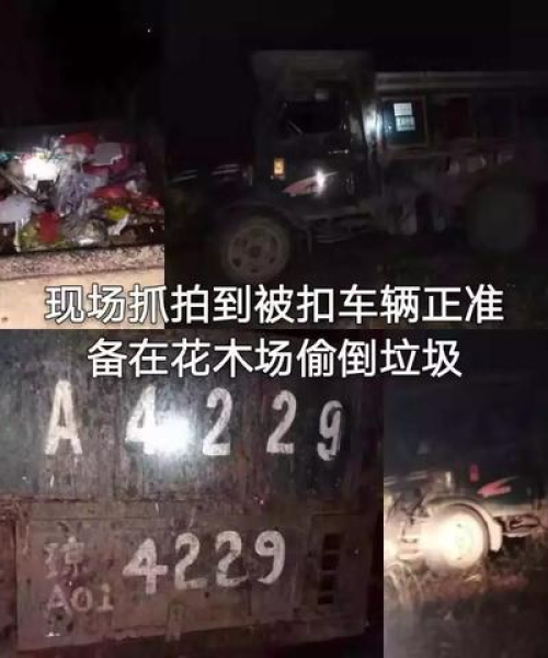 海南城管角色与挑战，新闻头条解读