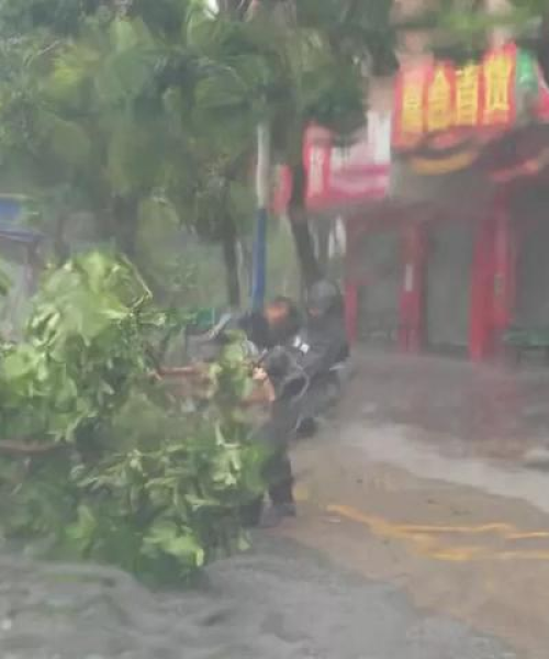 道滘阳光雨棚招标公告最新消息