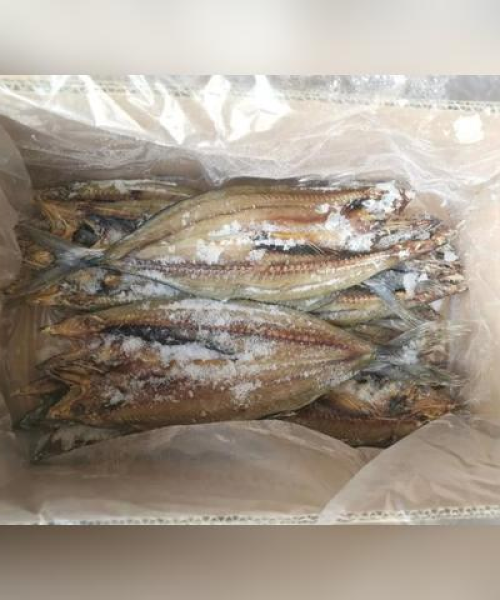海水大虾攻略，最新图片与详细指南