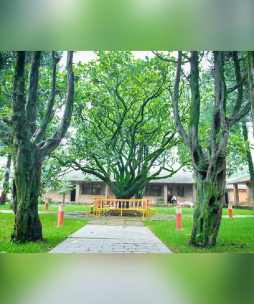 云南公司团建服务排名揭晓，探寻最佳团建公司，助力团队建设！