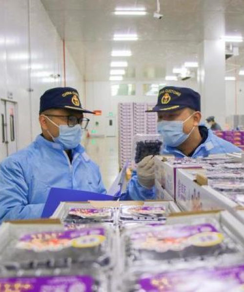 充电桩配件出口市场拓展策略及数据分析研究