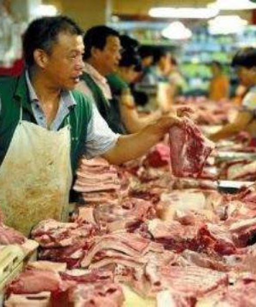 徐州今日猪价走势分析，最新行情速览