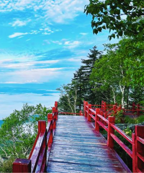 伊春醉美日出之旅攻略，探秘绝美风光！