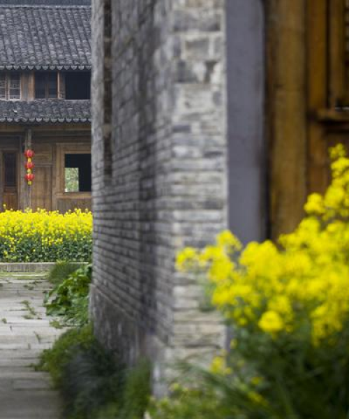浙江沪旅游攻略，江南水乡与繁华都市的完美交融之旅