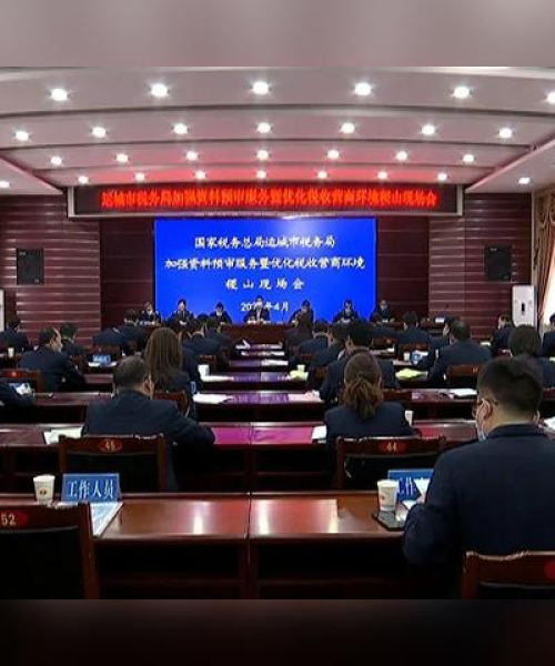 国内公司税务排名背后的企业税务优化策略解读