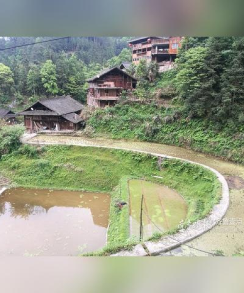 立马极昂新款亮相，搭载强大2000W电机，性能卓越引领潮流