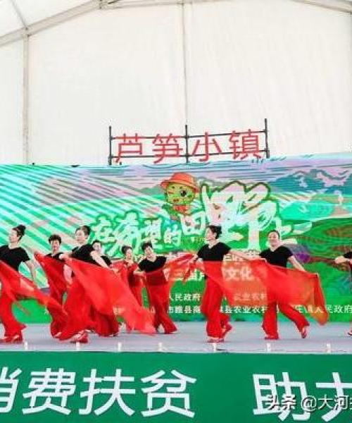 商丘芦笋产业蓬勃发展，新闻头条探寻芦笋产业崛起之路