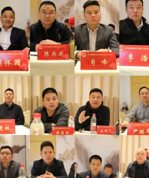 湖南省三维建筑公司排名揭秘，行业影响力深度探讨