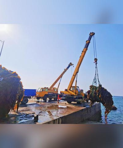 工业吊杆吊装规范标准深度解析