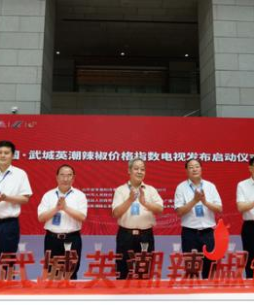 国内媒体宣发公司权威排名榜，深度解读与剖析