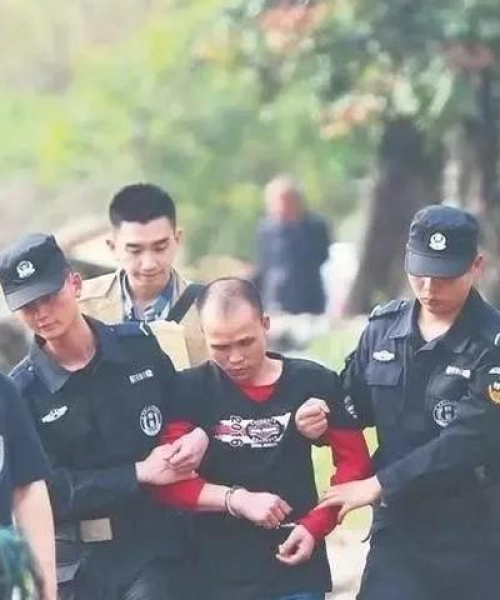 泉州车辆遭罚引发关注，交通法规执行与公众热议聚焦新闻头条