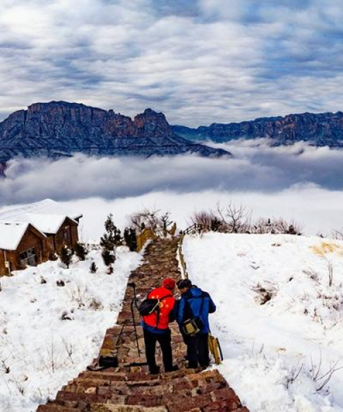 天界山旅游最新动态揭秘，探寻神秘自然奇观之旅