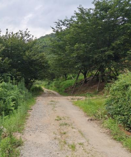 深圳无人村落新闻揭秘，城市变迁下的特殊现象观察