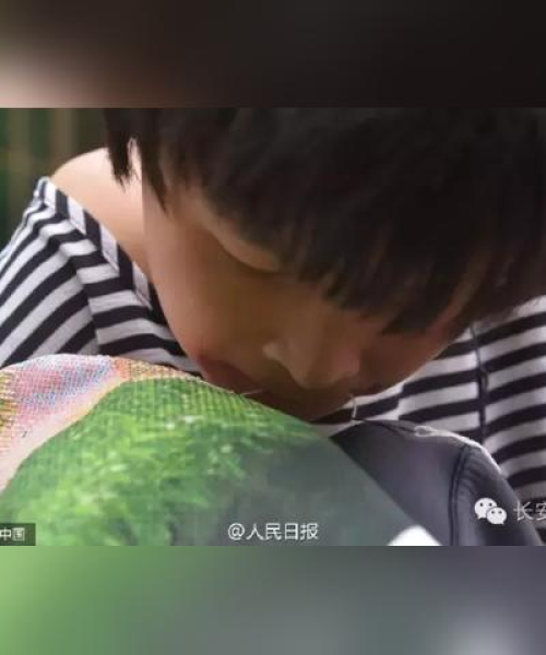 望都小区最新新闻头条报道速递