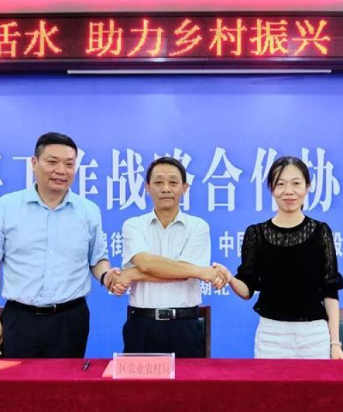 仓埠街道最新发展动态，社区新闻头条探索