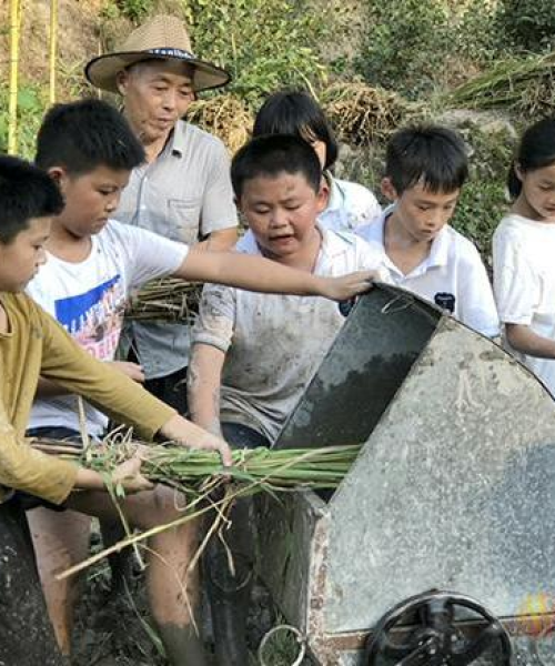 缙云拓展公司排名揭晓，行业领军者一览无余