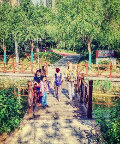 洛南春季旅行指南，探寻春日美景之旅