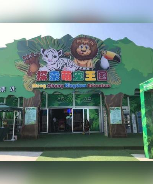 动物餐厅探秘，美食与萌宠的梦幻之旅
