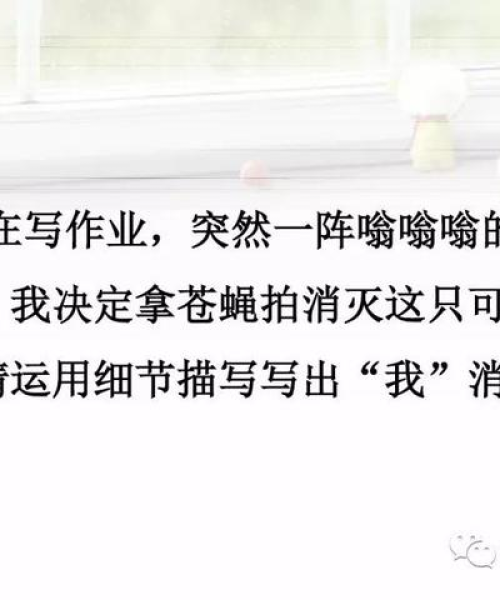 父爱之舟，励志语录与深沉父爱的交融之旅