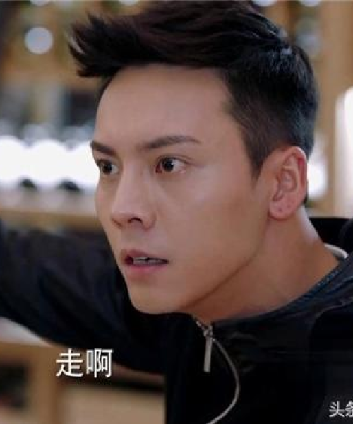 世界狼狗品种排名TOP榜，一网打尽！