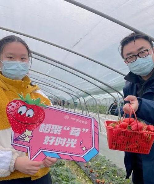 欢乐时光里的头条新闻，探索生活的美好瞬间