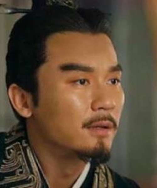 揭秘全球兔子地位与魅力，探寻兔子世界排名！