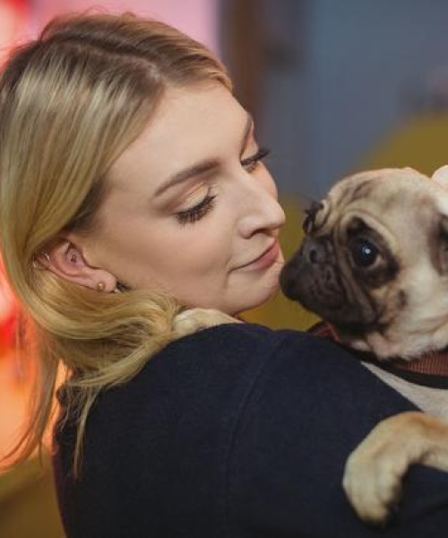 家养犬热门排行榜TOP10，精选宠物犬的选择指南